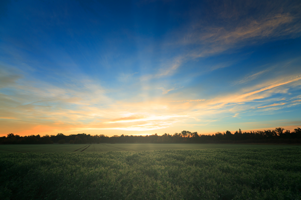 sunrise